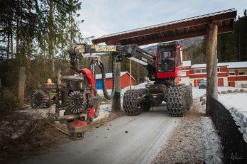 7. april 2022 - Hogging av skog